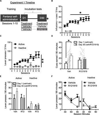 Role of BNST CRFR1 Receptors in Incubation of Fentanyl Seeking